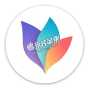 MindNode 5 for Mac 5.0.1 中文破解版下载 – 易用的思维导图工具