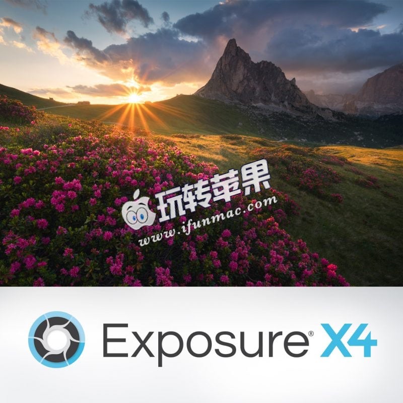 Exposure X4 Bundle 截图
