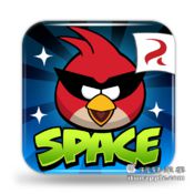 Angry Birds Space LOGO