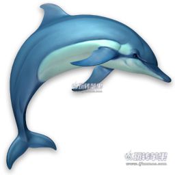 Dolphins 3D LOGO