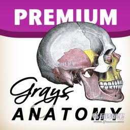 Gray’s Anatomy Premium Edition for Mac 1.5 破解版下载 – 灰色的解剖