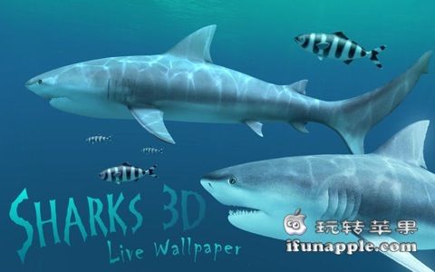 Sharks 3D 截图