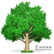 Tree for Mac 1.9.5 破解版下载 – Mac上优秀的大纲视图编辑工具